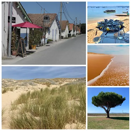 Appartement & P'tit Jardin