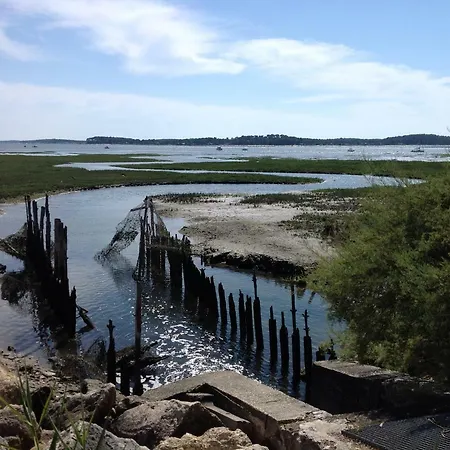 Lägenhet & P'tit Jardin *