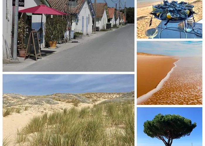 شقة & P'tit Jardin